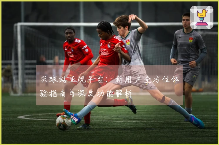 买球站正规平台：新用户全方位体验指南与深度功能解析