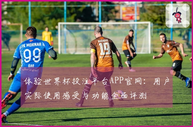体验世界杯投注平台APP官网：用户实际使用感受与功能全面评测