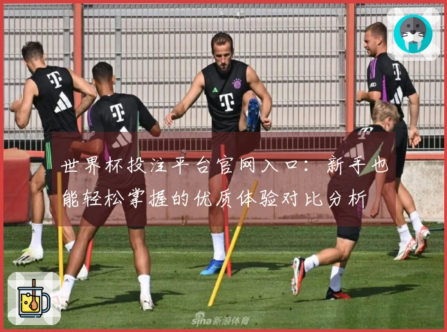 世界杯投注平台官网入口：新手也能轻松掌握的优质体验对比分析