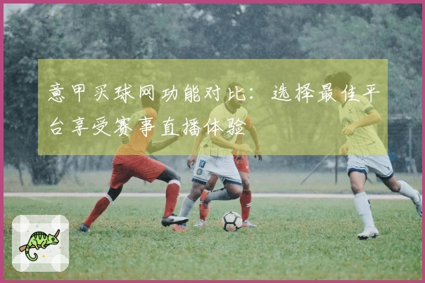 意甲买球网功能对比：选择最佳平台享受赛事直播体验