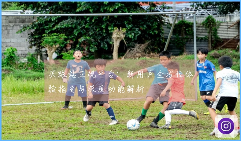 买球站正规平台：新用户全方位体验指南与深度功能解析