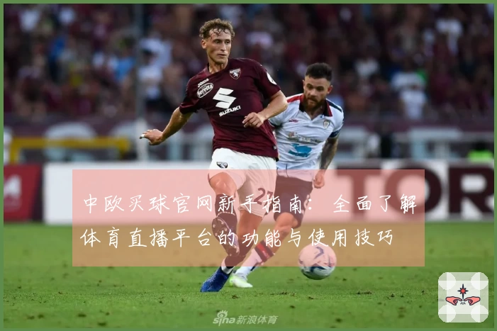 中欧买球官网新手指南：全面了解体育直播平台的功能与使用技巧