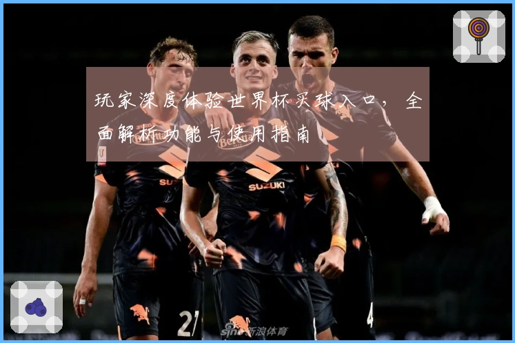 玩家深度体验世界杯买球入口，全面解析功能与使用指南