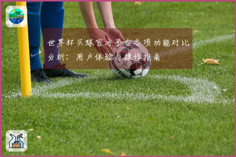 世界杯买球官方平台各项功能对比分析：用户体验与操作指南