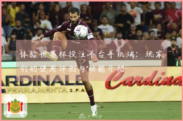 体验世界杯投注平台手机端：玩家们的使用评测与功能介绍
