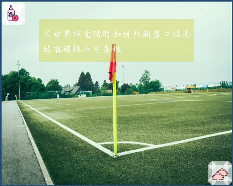 买世界杯竞猜时如何判断盘口信息的准确性和可靠性