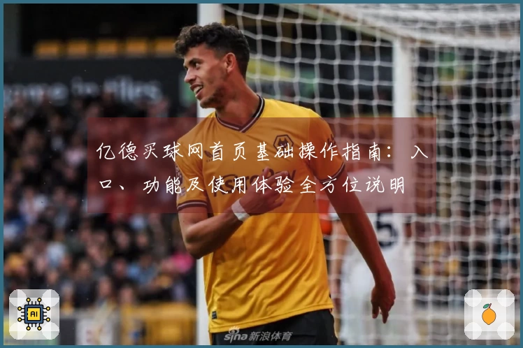 亿德买球网首页基础操作指南：入口、功能及使用体验全方位说明