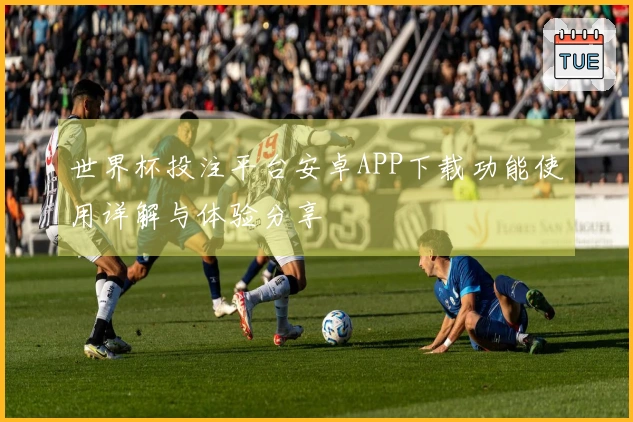 世界杯投注平台安卓APP下载功能使用详解与体验分享