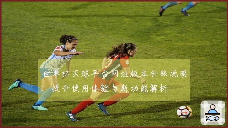 世界杯买球平台网址版本升级说明：提升使用体验与新功能解析