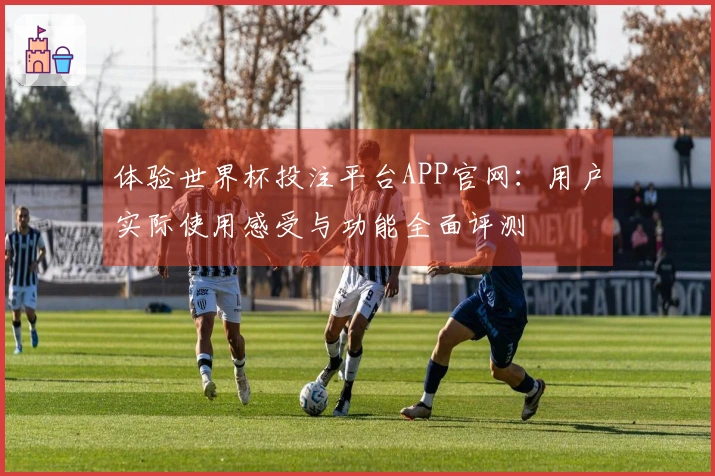 体验世界杯投注平台APP官网：用户实际使用感受与功能全面评测
