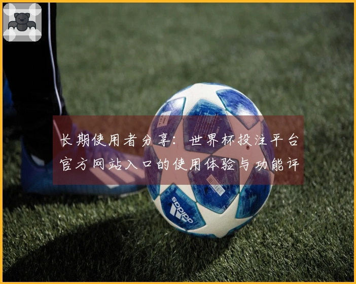 长期使用者分享：世界杯投注平台官方网站入口的使用体验与功能评测